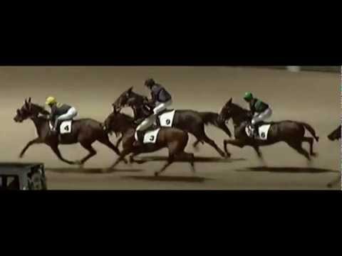 Eidelstedter Rennen 2012_ PMU Rennen_Trabreiten_At Full Speed 1:17,2_Michelle Kokkes