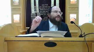 זרע שמשון - על פרשת מסעי - הרב יצחק ליכטנשטיין