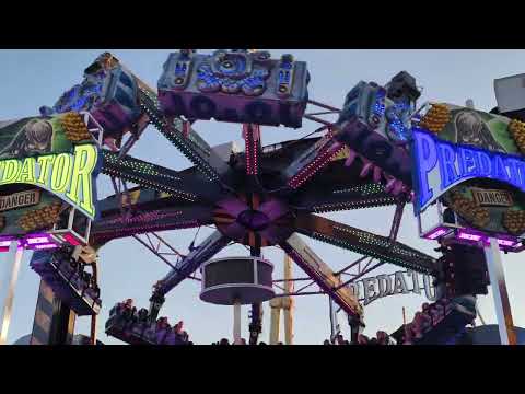 Predator (Kaiser) Viehmarkt Bad Arolsen 2022