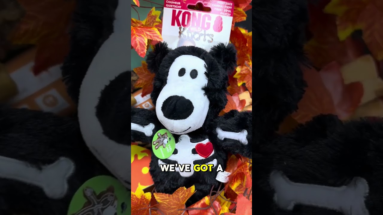 Halloween Dog Treat Box | Video