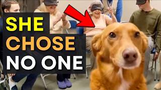 When Dogs Choose No One… 😭 Until This Moment Melts Your Heart ❤️🐶