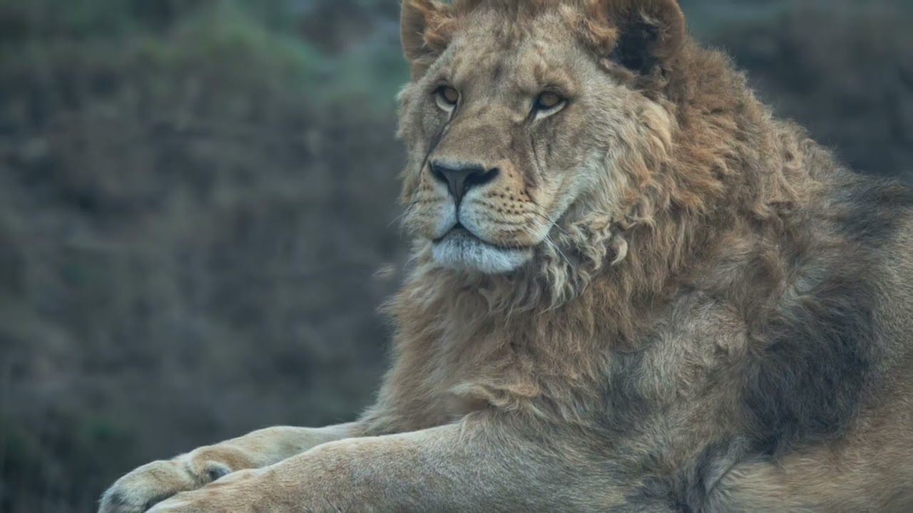 Testing the waters for short stories 