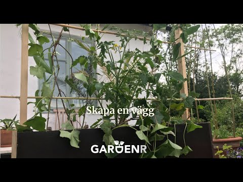 Bygg en växtvägg - Trädgårdshacks med GardenR