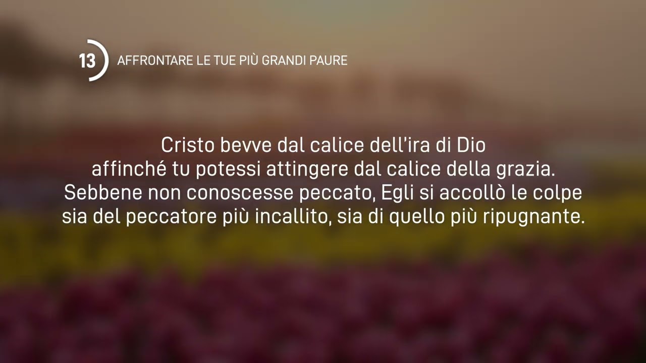 13 Ottobre 2024 | Meditazione Parole di Vita