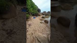 Download lagu 😱😱😱 Real mermaid caught on camera #mermaid #siren mp3 Download lagu 😱😱😱 Real mermaid caught on camera #mermaid #siren mp3