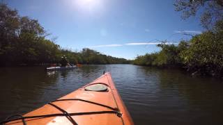 Kayaking in Clam Bayou