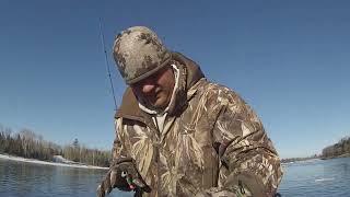 Central Minnesota Fishing: Walleyes on Rainy River, International Falls, Mn