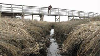 Where is this mystery Cape Cod bridge?