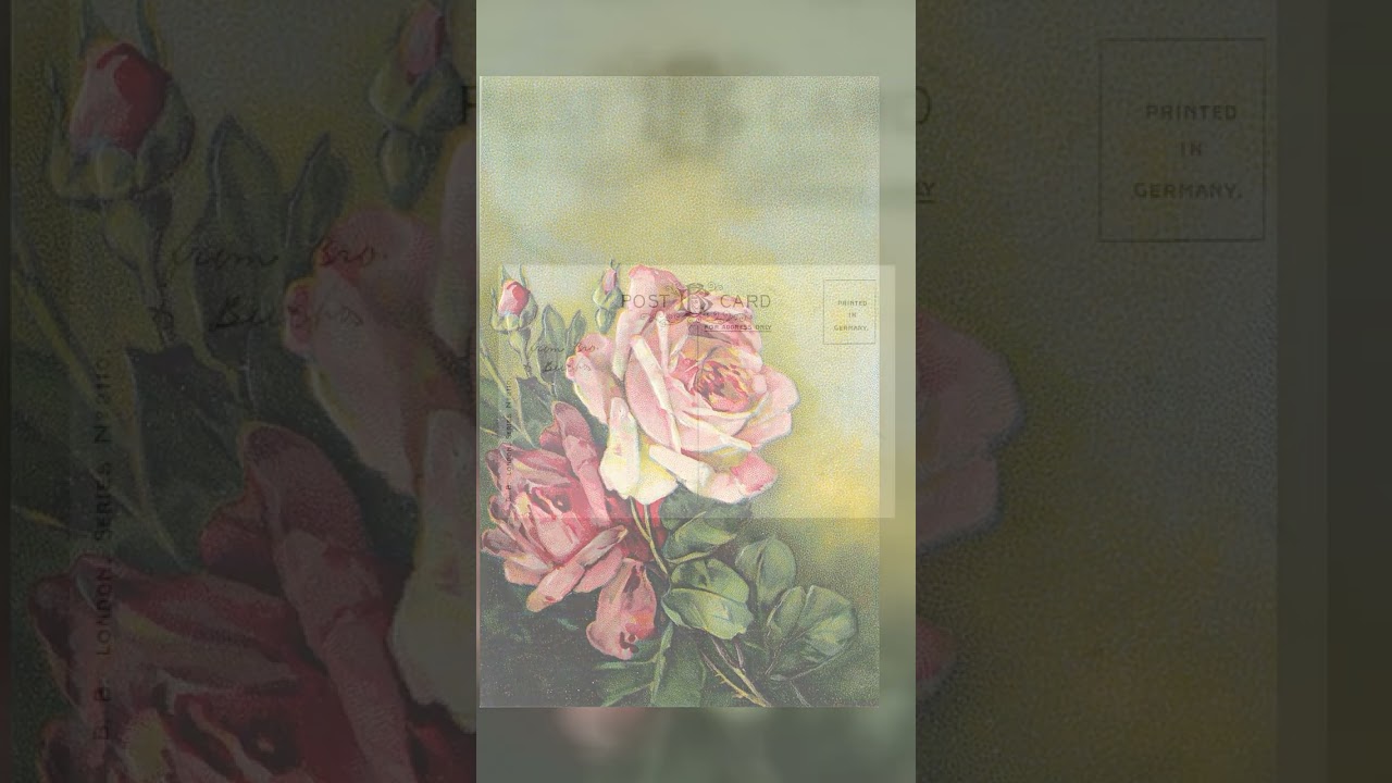 B.B. London Linen Postcard, Roses, Printed in Germany, Early 20th Century Video