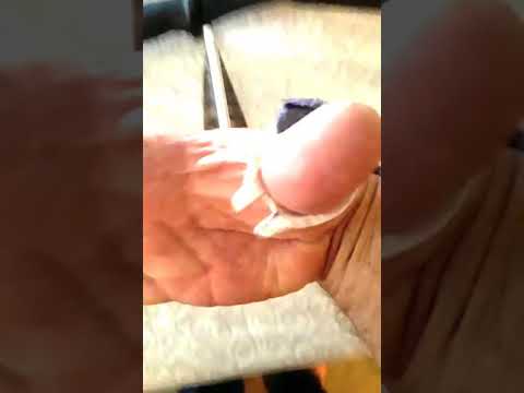 BOWS AND ARROWS ( NEW) ARCHERY THUMB RING. ANOTHER CHOICE.