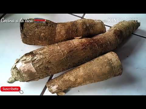 download lagu mp3 mp4 Congelar Yuca, download lagu Congelar Yuca gratis, unduh video klip Congelar Yuca