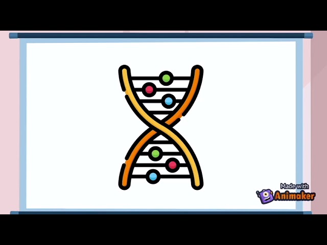 Vídeo relacionado con Psicologia hechos y palabreria
