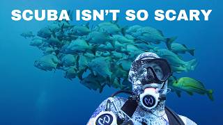 10 reasons why scuba diving isn't so scary