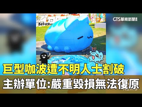 巨型咖波遭不明人士割破　主辦單位：嚴重毀損無法復原