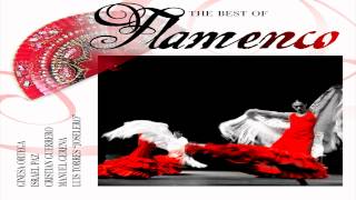 GINESA ORTEGA - Ecos de Flamenco (Seguirilla) (フラメンコのベスト - The best of Flamenco) 2