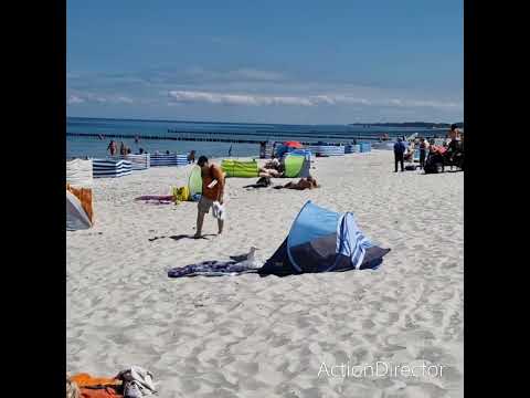 Möwe klaut aus dem Zelt!🤣