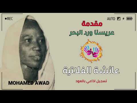 عائشة الفلاتية عريسنا ورد البحر