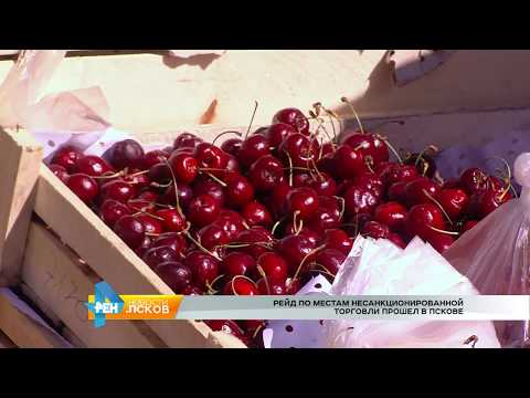 Новости Псков 26.06.2017 # Очередной рейд по местам несанкционированной торговли