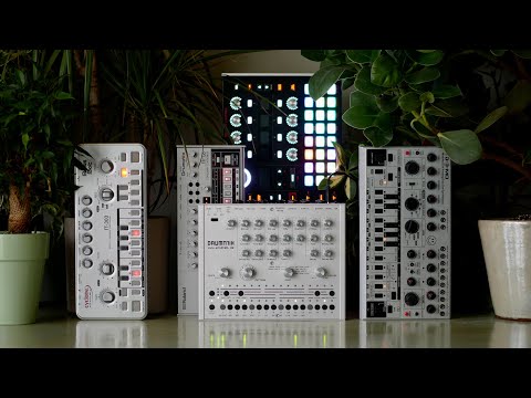 Snot Monkey - Acid 256 (TT-303, Hydrasynth, Drumatix, TR-06, TD-3-MO)(melodramatic acid ballad)