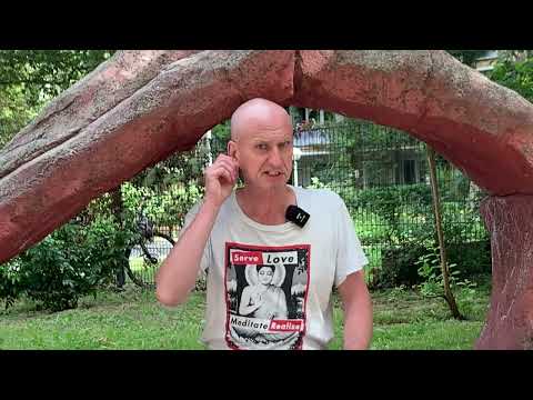 Unregelmäßiger Atem: Was muss ich ändern!? | #Häppchen 1253