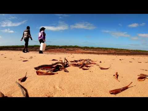MABU BURU LIFESTYLE EPISODE 3 - Foraging in Roebuck Bay