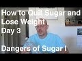 Quit Sugar in 30 Days - Day 3: Dangers of Sugar I ...