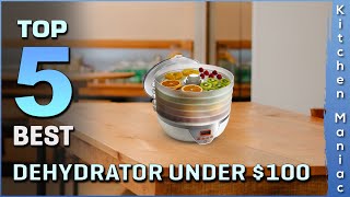 Best Dehydrators Under $100 Review 2025 | for Snacks, Fruits [Digital Timer & Temperature Control]