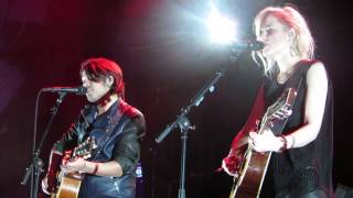 The common linnets - Still loving after you