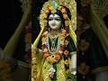 Sun Murli Ki Taan Brij Mandal Hile चेहरा फूल सो खिले Krishna Bhajan Suvi
