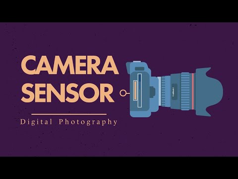 Camera Sensor
