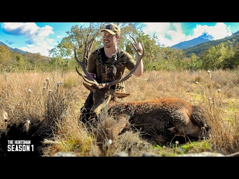 Sneaky 12 point Red Stag hunt | Hunting Queensland, Australia