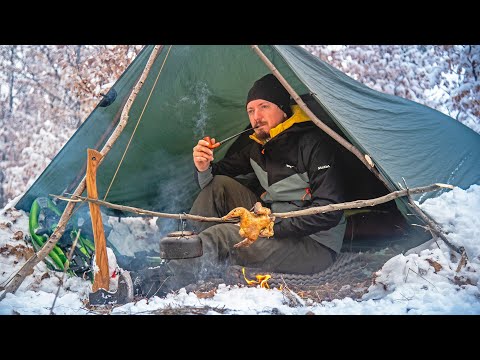 O NOAPTE DE IARNĂ SINGUR LA CORT