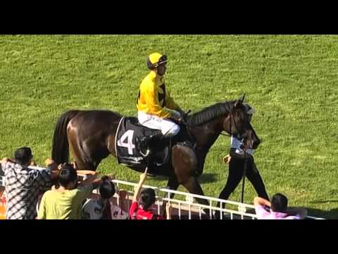 Ascot, 13/02/2016 - Race 8 - NORTH RIDGE - Fred Kersley & Steven Parnham