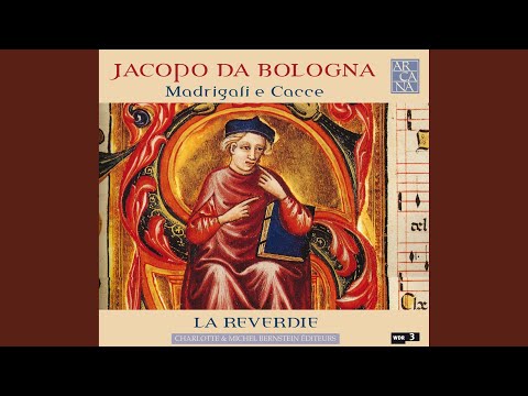 Fenice fu’ e vissi (Madrigale)