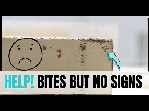 Help! No Signs of Bed Bugs, but I Have Bites