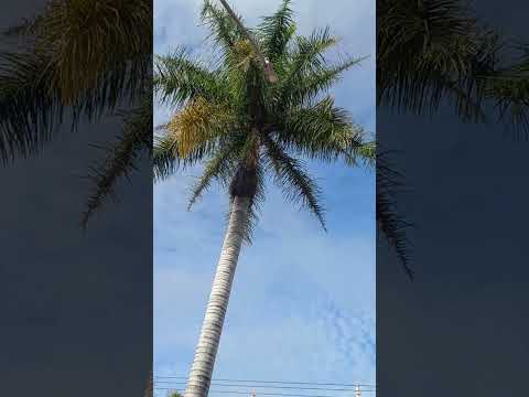 PRAÇA DO SANTUÁRIO LUZ MINAS GERAIS 🙏 🙏