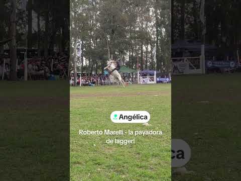 festival coplas jinetes y potros angélica STA FE