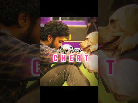 Dog's Never Betrayed His Owner 😢❤️ | Charlie 777 | #south #viralshorts