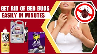 Get Rid Of Bed Bugs Quickly With Most Effective Bed Bug Killers