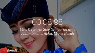 Download lagu Story WA || Jathilan Terbaru mp3