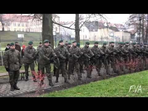 YouTube   FVA  Army Salute Fail