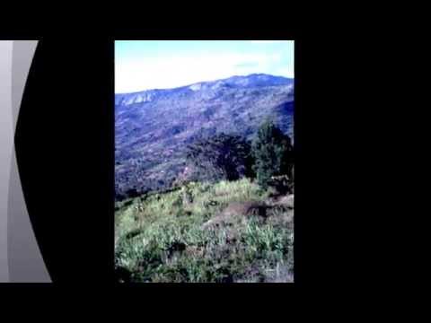 WUNDANYI TAITA TAVETA COUNTY