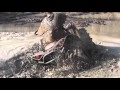 CAN-AM RENEGADE XMR 1000 IS BADASS!! CAN-AM RENEGADE XMR 1000 IS BADASS!!