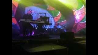 Animal Collective Newtown Burnout, Monkey Riches and Brothersport