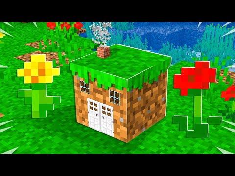 PrestonPlayz - I Built the World's SMALLEST Minecraft House! *tiny*