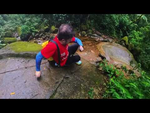 Desci a Estrada da Graciosa às 6h da manhã 🌧️ | Moto, Morretes e Trilha do Rochedinho