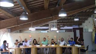 Ple ordinari del 30 de juny de 2022