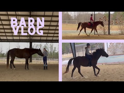Rainy Morning Barn Vlog // 02/21/2026