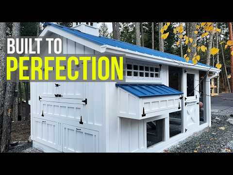 The ULTIMATE Egg Hutch for Your Chickens!