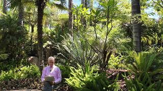 Episode 24: Understanding Blessing